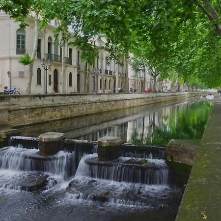 Le Nid Douillet Appartement Nîmes Buitenkant foto